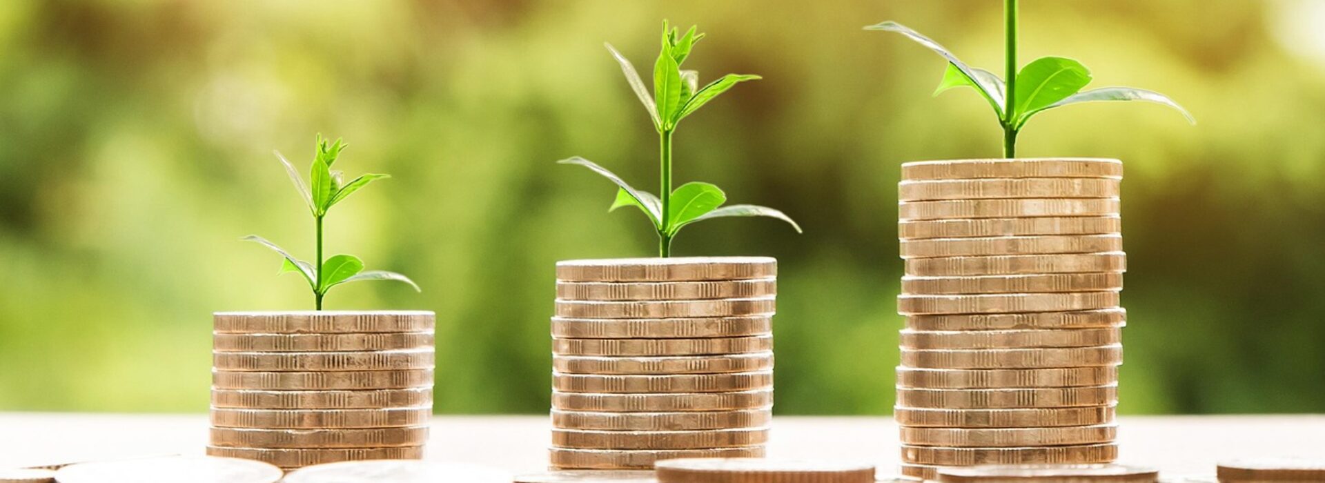 money, profit, finance, business, return, yield, financial, cash, currency, investment, banking, wealth, coin, economy, success, loan, salary, rich, credit, payment, savings, save, deposit, growth, income